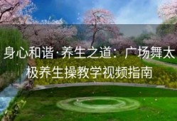 身心和谐·养生之道：广场舞太极养生操教学视频指南