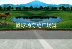 篮球场奇葩广场舞