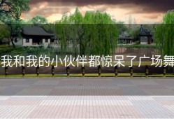 我和我的小伙伴都惊呆了广场舞