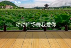 动动广场舞我爱你