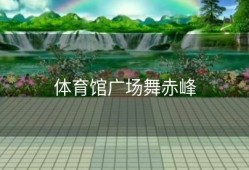 体育馆广场舞赤峰