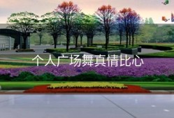 个人广场舞真情比心