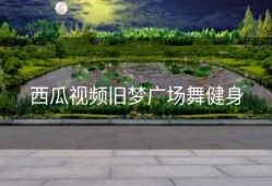 西瓜视频旧梦广场舞健身