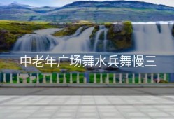 中老年广场舞水兵舞慢三