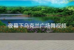 夜幕下乌克兰广场舞视频