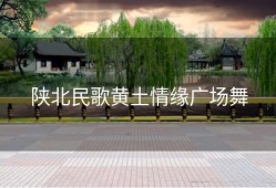 陕北民歌黄土情缘广场舞