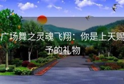 广场舞之灵魂飞翔：你是上天赐予的礼物