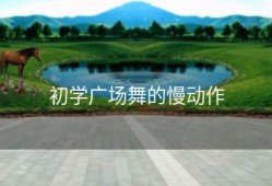 初学广场舞的慢动作