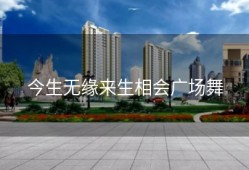 今生无缘来生相会广场舞