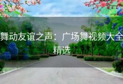 舞动友谊之声：广场舞视频大全精选