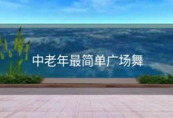 中老年最简单广场舞