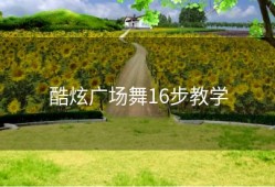 酷炫广场舞16步教学