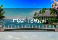 广场舞山迷歌背面