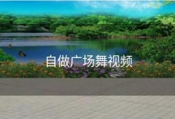 自做广场舞视频