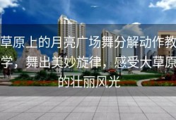 草原上的月亮广场舞分解动作教学，舞出美妙旋律，感受大草原的壮丽风光