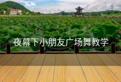 夜幕下小朋友广场舞教学