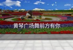 黄琴广场舞前方有你