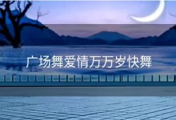 广场舞爱情万万岁快舞