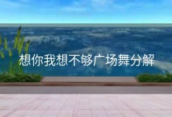 想你我想不够广场舞分解