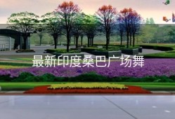 最新印度桑巴广场舞