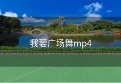我要广场舞mp4