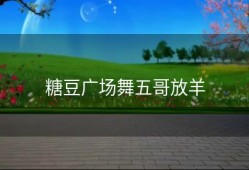 糖豆广场舞五哥放羊