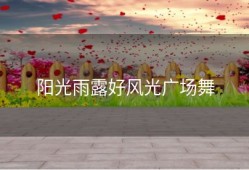 阳光雨露好风光广场舞