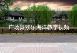 广场舞欢乐海洋教学视频