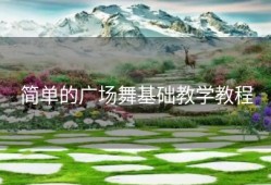 简单的广场舞基础教学教程