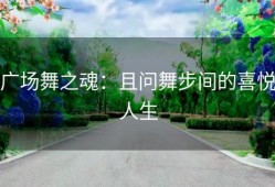 广场舞之魂：且问舞步间的喜悦人生
