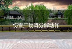 伤雪广场舞分解动作