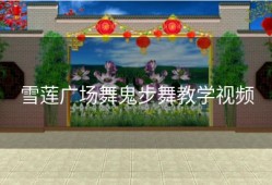 雪莲广场舞鬼步舞教学视频