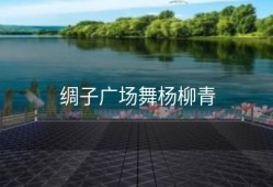 绸子广场舞杨柳青