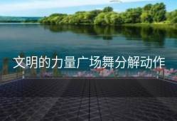 文明的力量广场舞分解动作