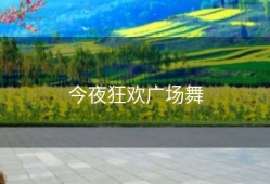 今夜狂欢广场舞