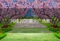 网络2020最火广场舞