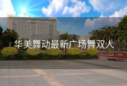 华美舞动最新广场舞双人