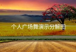 个人广场舞演示分解图