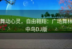 舞动心灵，自由翱翔：广场舞林中鸟DJ版