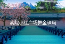 紫院小红广场舞金珠玛