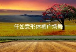 任如意形体裤广场舞
