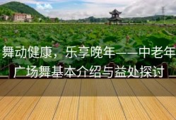 舞动健康，乐享晚年——中老年广场舞基本介绍与益处探讨