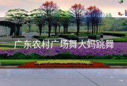 广东农村广场舞大妈跳舞