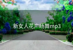 新女人花广场舞mp3