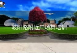 岐阳路附近广场舞培训