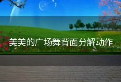 美美的广场舞背面分解动作