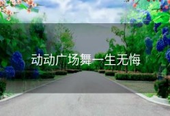 动动广场舞一生无悔