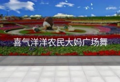 喜气洋洋农民大妈广场舞