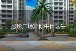 彤彤广场舞你牛什么牛