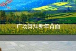 广场舞拜新年背面
